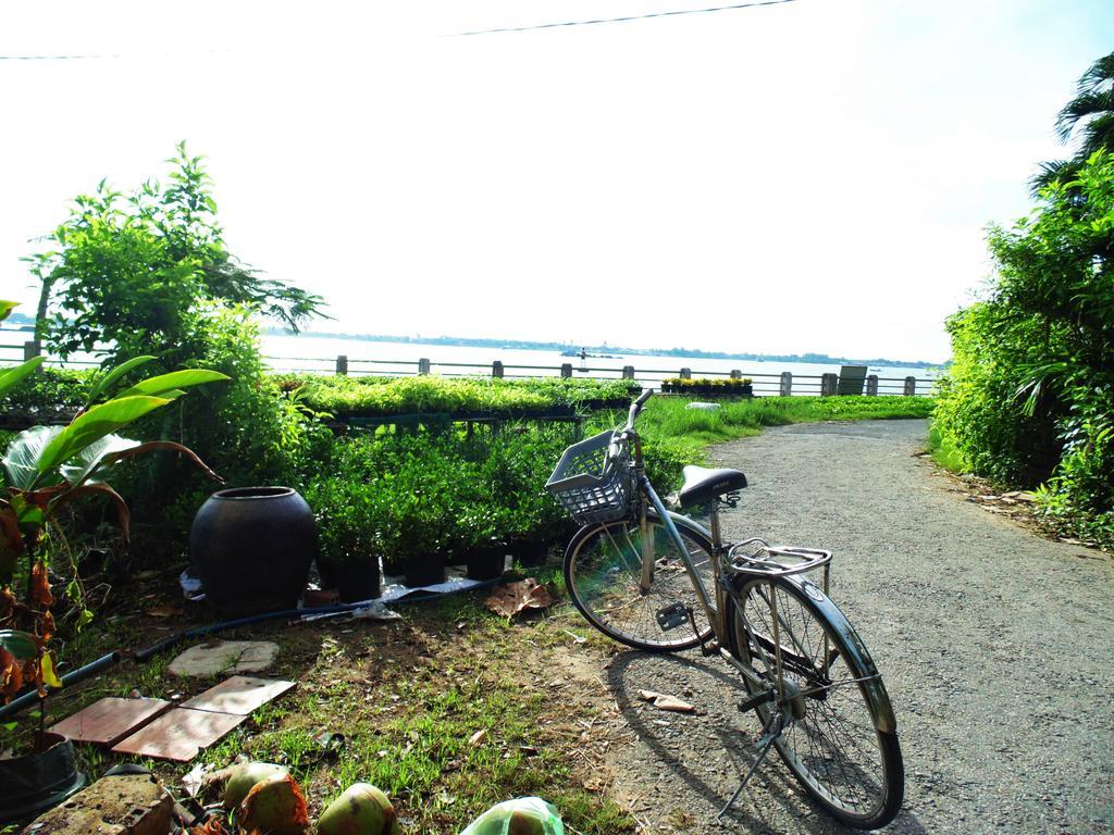 Flower & Frog Homestay Sa Dec 외부 사진