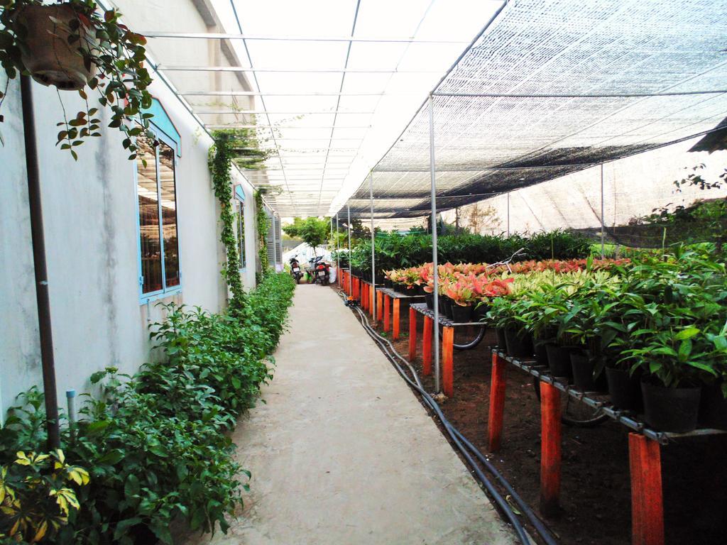 Flower & Frog Homestay Sa Dec 외부 사진